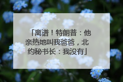 离谱！特朗普：他亲热地叫我爸爸，北约秘书长：我没有