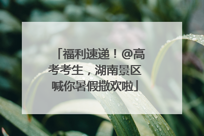 福利速递！@高考考生，湖南景区喊你暑假撒欢啦