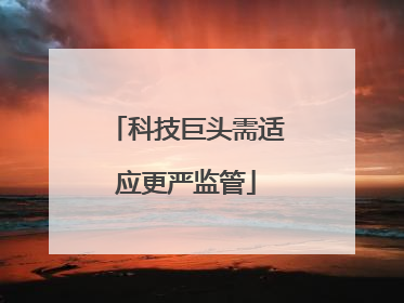 科技巨头需适应更严监管