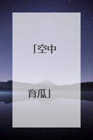 空中育瓜