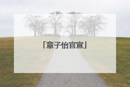 章子怡官宣