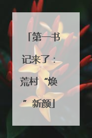 第一书记来了：荒村“焕”新颜