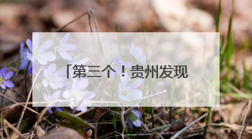 第三个！贵州发现珍稀濒危植物睡莲叶杜鹃新分布点