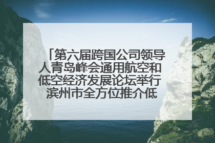 第六届跨国公司领导人青岛峰会通用航空和低空经济发展论坛举行 滨州市全方位推介低空经济发展优势