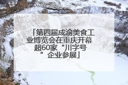 第四届成渝美食工业博览会在重庆开幕 超60家“川字号”企业参展