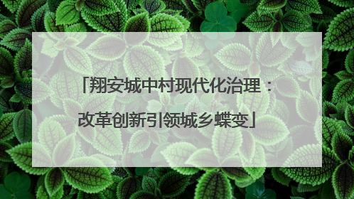 翔安城中村现代化治理：改革创新引领城乡蝶变