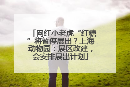 网红小老虎“红糖”将暂停展出？上海动物园：展区改建，会安排展出计划