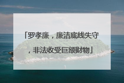 罗孝廉，廉洁底线失守，非法收受巨额财物