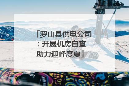 罗山县供电公司：开展机房自查 助力迎峰度夏