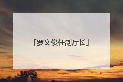 罗文俊任副厅长