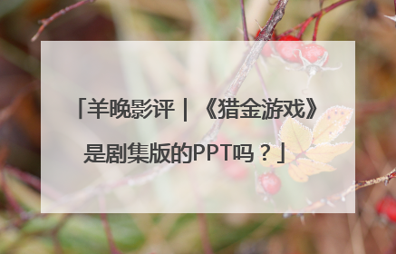 羊晚影评｜《猎金游戏》是剧集版的PPT吗？