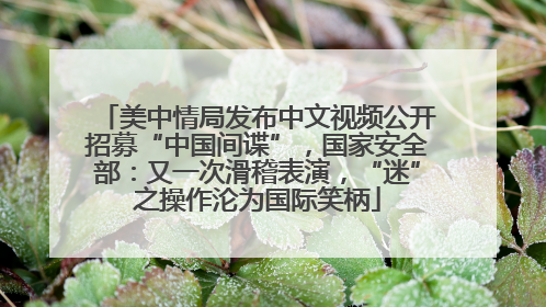 美中情局发布中文视频公开招募“中国间谍”，国家安全部：又一次滑稽表演，“迷”之操作沦为国际笑柄
