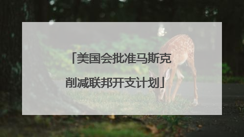 美国会批准马斯克削减联邦开支计划