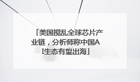 美国搅乱全球芯片产业链，分析师称中国AI生态有望出海