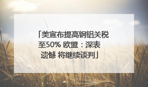 美宣布提高钢铝关税至50% 欧盟：深表遗憾 将继续谈判