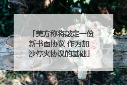 美方称将敲定一份新书面协议 作为加沙停火协议的基础