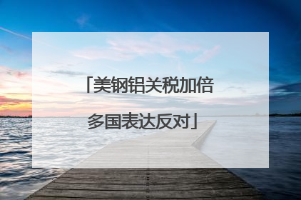 美钢铝关税加倍 多国表达反对