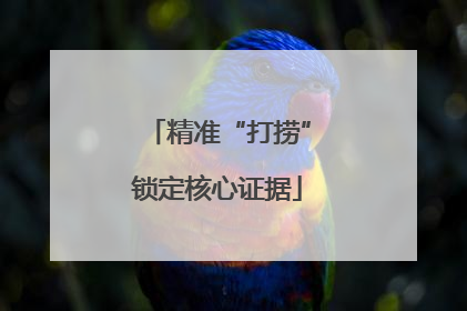 精准“打捞”锁定核心证据