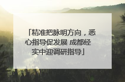 精准把脉明方向，悉心指导促发展 成都经实中迎调研指导