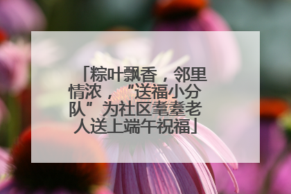 粽叶飘香，邻里情浓，“送福小分队”为社区耄耋老人送上端午祝福
