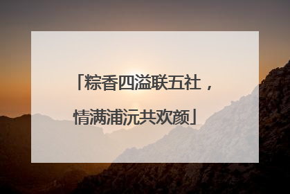 粽香四溢联五社，情满浦沅共欢颜