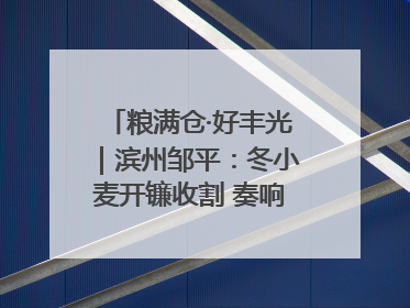 粮满仓·好丰光｜滨州邹平：冬小麦开镰收割 奏响夏日丰收曲