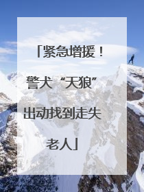 紧急增援！警犬“天狼”出动找到走失老人