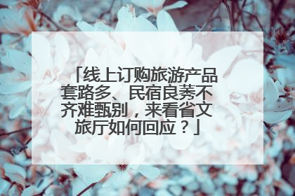 线上订购旅游产品套路多、民宿良莠不齐难甄别，来看省文旅厅如何回应？