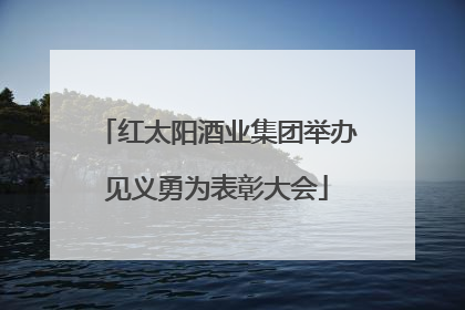 红太阳酒业集团举办见义勇为表彰大会