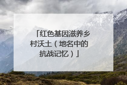 红色基因滋养乡村沃土（地名中的抗战记忆）
