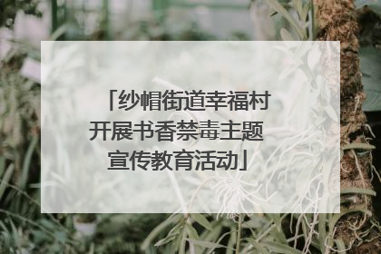 纱帽街道幸福村开展书香禁毒主题宣传教育活动