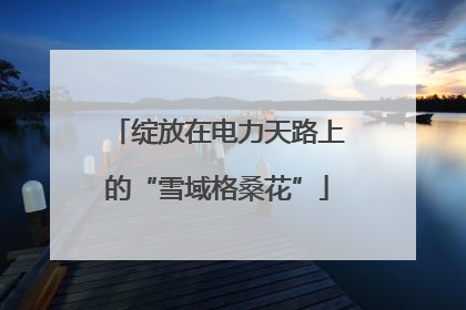 绽放在电力天路上的“雪域格桑花”