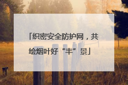 织密安全防护网，共绘烟叶好“丰”景