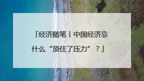 经济随笔丨中国经济靠什么“顶住了压力”？