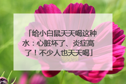 给小白鼠天天喝这种水：心脏坏了、炎症高了！不少人也天天喝