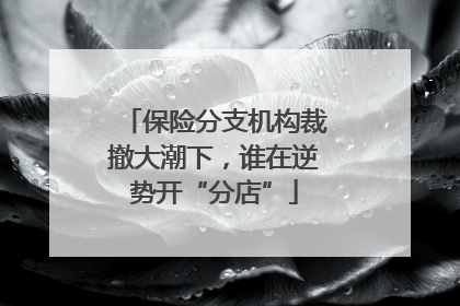 保险分支机构裁撤大潮下，谁在逆势开“分店”