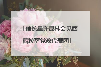 信长星许昆林会见西藏拉萨党政代表团