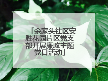 余家头社区安胜花园片区党支部开展廉政主题党日活动