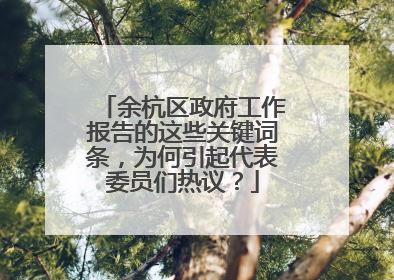 余杭区政府工作报告的这些关键词条，为何引起代表委员们热议？
