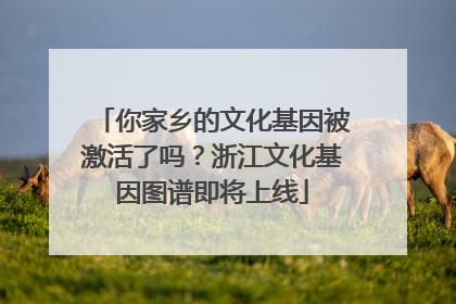 你家乡的文化基因被激活了吗？浙江文化基因图谱即将上线