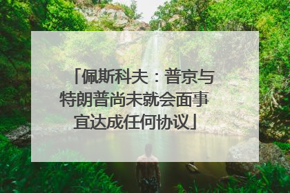 佩斯科夫：普京与特朗普尚未就会面事宜达成任何协议