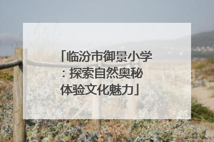 临汾市御景小学：探索自然奥秘 体验文化魅力