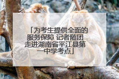 为考生提供全面的服务保障 记者随团走进湖南省平江县第一中学考点