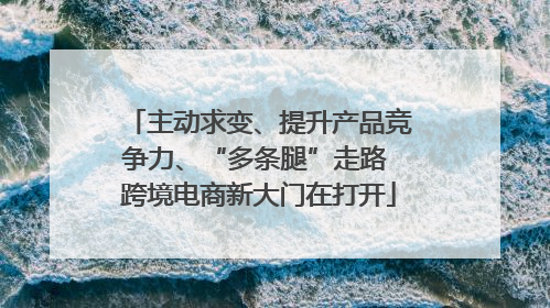 主动求变、提升产品竞争力、“多条腿”走路 跨境电商新大门在打开