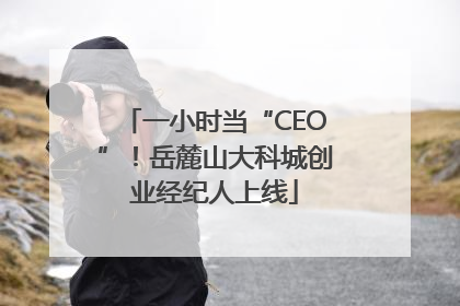 一小时当“CEO”！岳麓山大科城创业经纪人上线