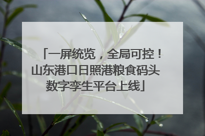 一屏统览，全局可控！山东港口日照港粮食码头数字孪生平台上线