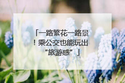一路繁花一路景！乘公交也能玩出“旅游感”