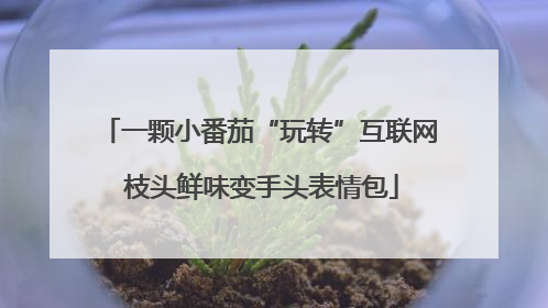 一颗小番茄“玩转”互联网 枝头鲜味变手头表情包