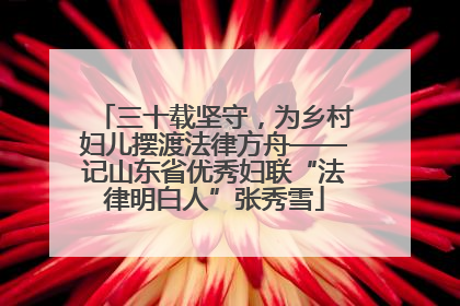 三十载坚守，为乡村妇儿摆渡法律方舟——记山东省优秀妇联“法律明白人”张秀雪