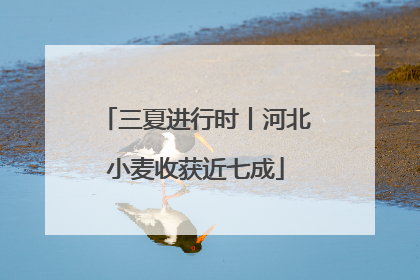三夏进行时丨河北小麦收获近七成